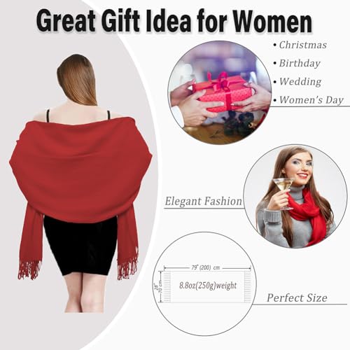 Luxurious Pashmina Scarf – Versatile, Elegant, and Timeless